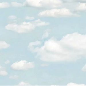 Meet your Posher, Ava